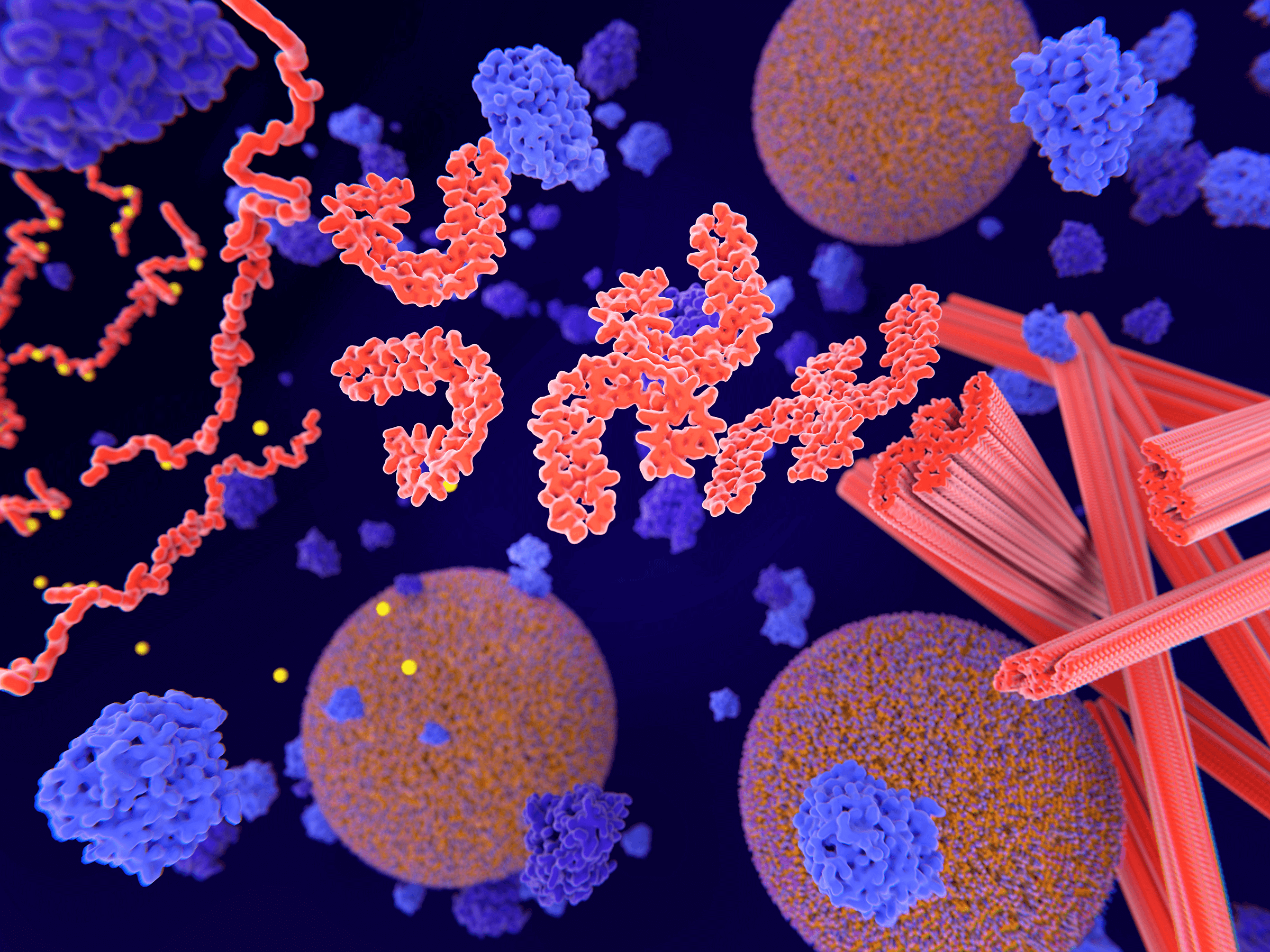 image of tau tangles