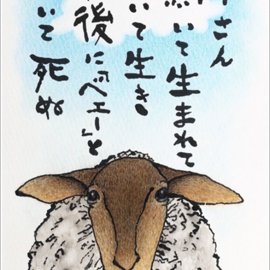 羊に学んだこと