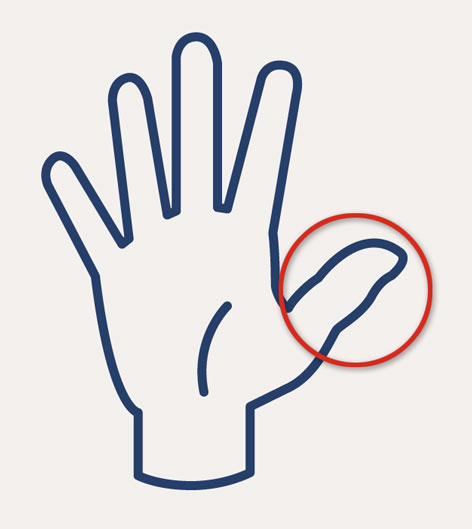 tamaño de porción  del dedo pulgar