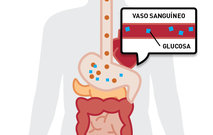 Niveles de glucosa en sangre paso 2